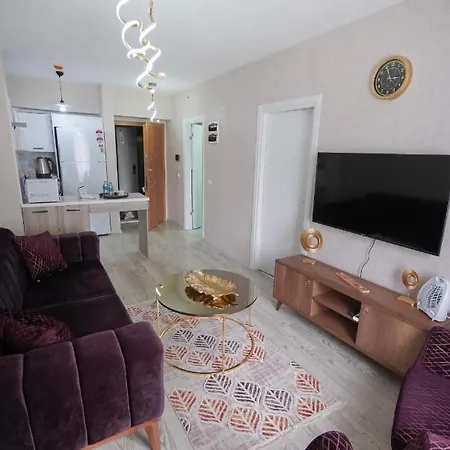 Luxe Ha8
